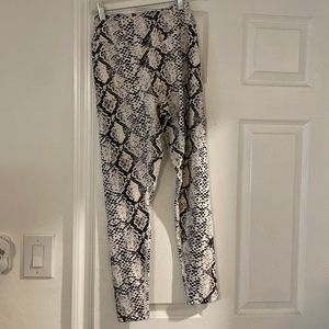 Vitality Snake Print Legging- Kingdom Collection
